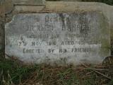 image of grave number 455697